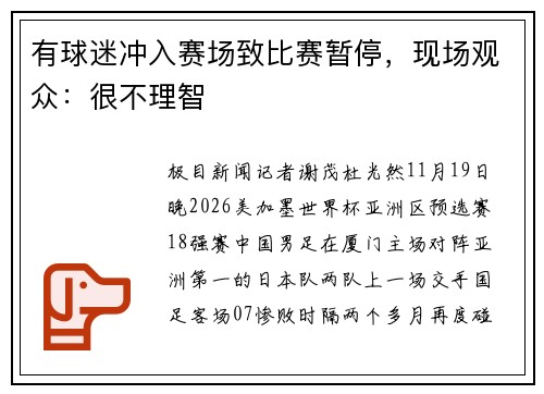 有球迷冲入赛场致比赛暂停，现场观众：很不理智